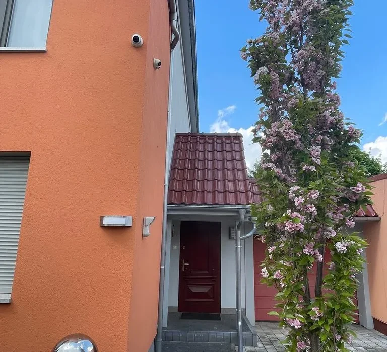 image (19)