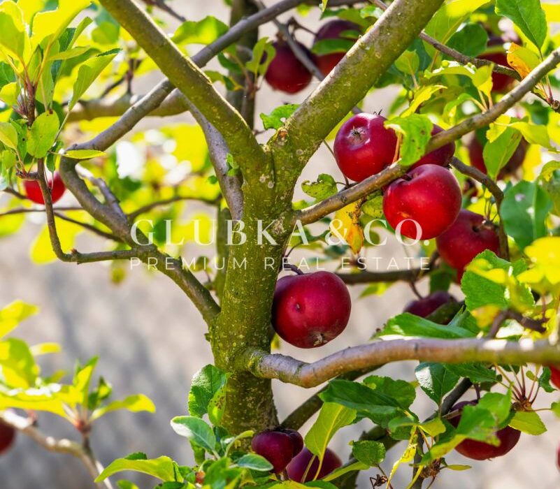 public-images-offers-17237-12476162-113890781_max.jpg